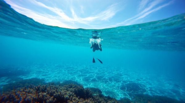 Explorez la plongée : reconsidérez votre vision du monde
